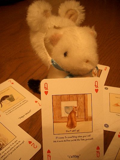 The Magnificent Moggies Playing Cards