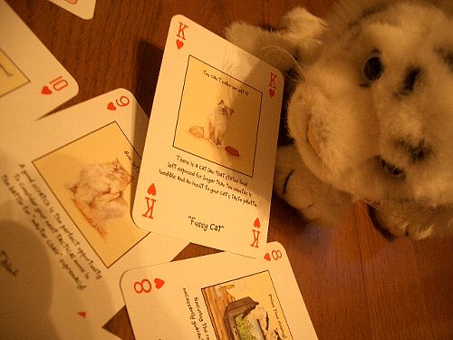 The Magnificent Moggies Playing Cards