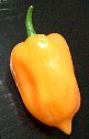 habanero