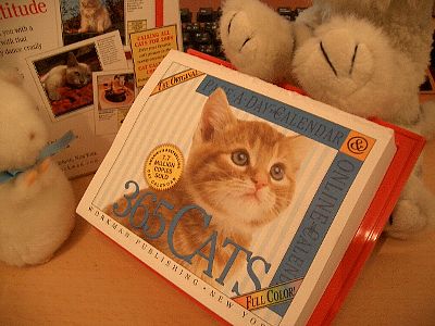 Page-a-Day Calendar, 365 Cats 2007 Calendar