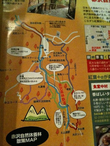 東海ウォーカー 19年10/28号 (Tokai Walker 2008 No.22 10/15→10/28)