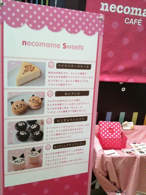 ねこまめカフェ necomameCAFÉ in Sweets Lovers