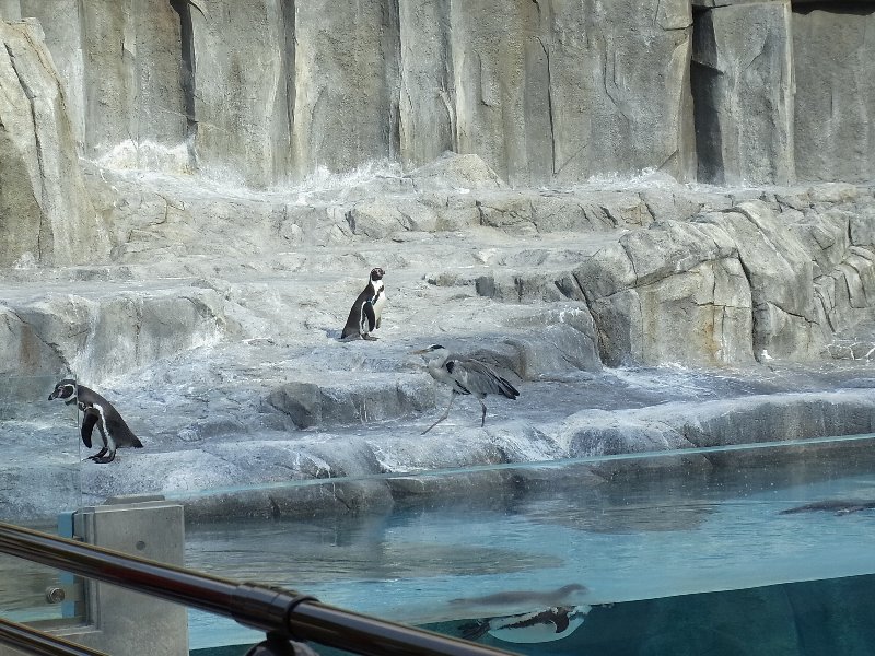 とべ動物園