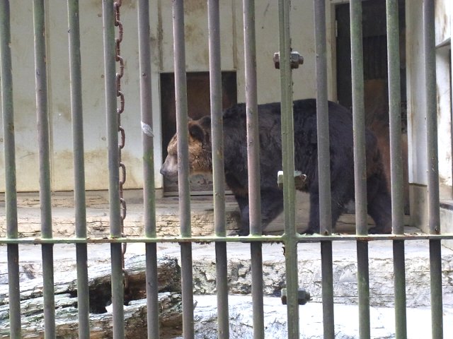 とべ動物園