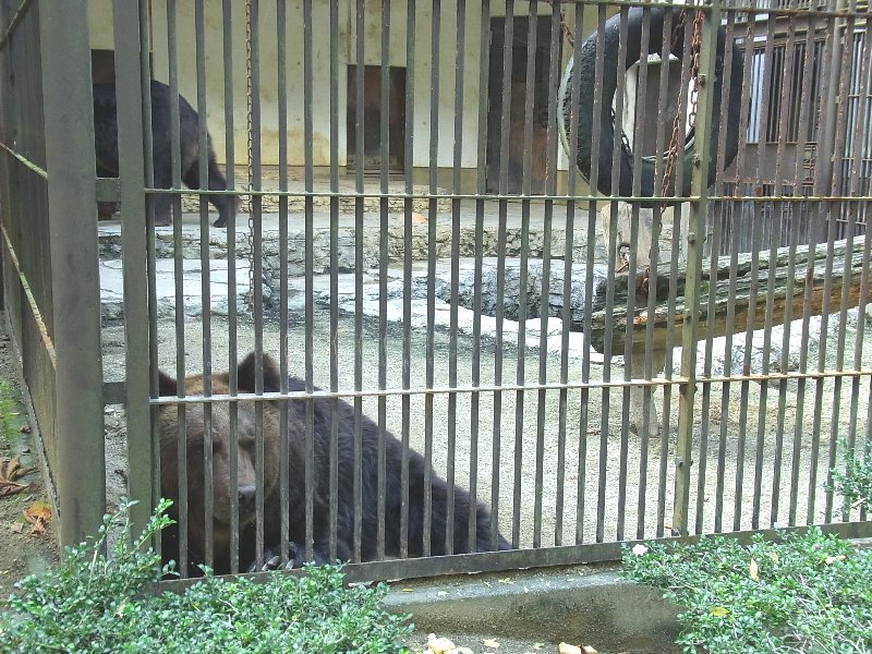 とべ動物園