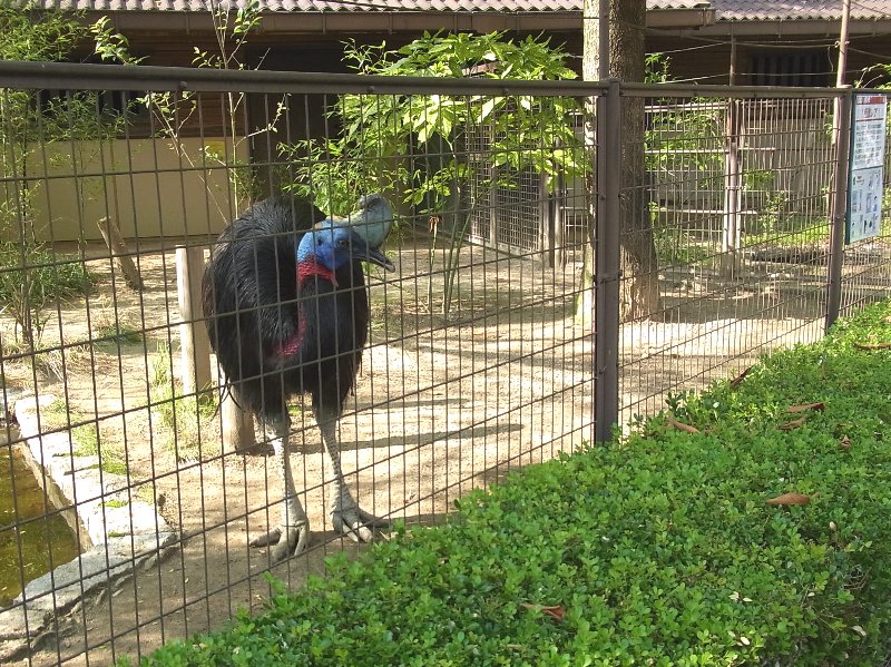 とべ動物園