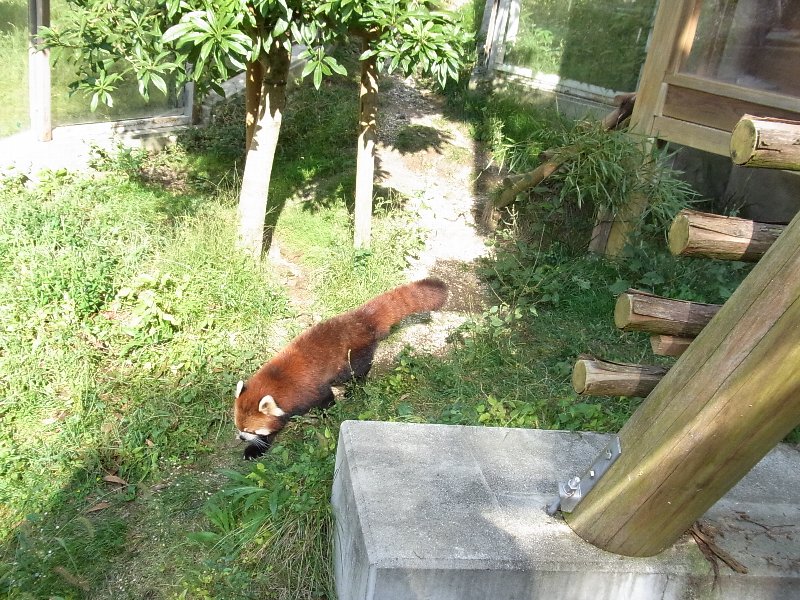 とべ動物園