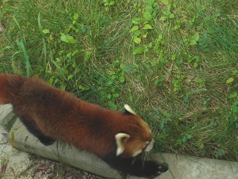 とべ動物園