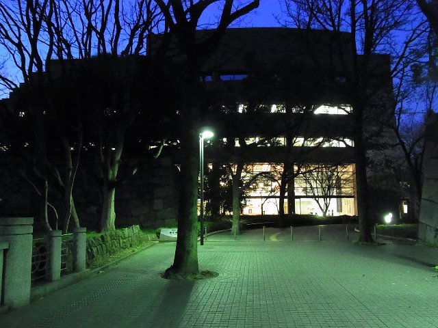 愛知県図書館の桜(もしかして梅？)