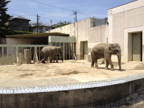 東山動植物園 Higashiyama Zoo