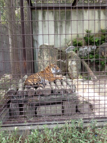 東山動植物園 Higashiyama Zoo