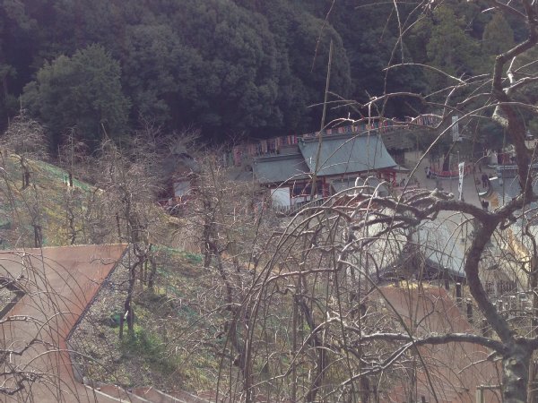 大縣神社