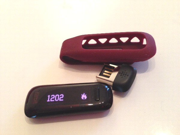 Fitbit One