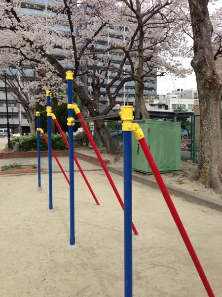 新道中央公園の桜