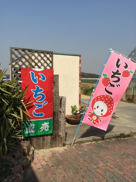 いちご狩りへ行ってきた (愛知県大府市 深谷農園)