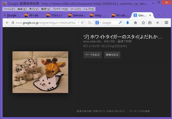 http://www.google.co.jp/imgres は Google 画像検索結果ページ URL