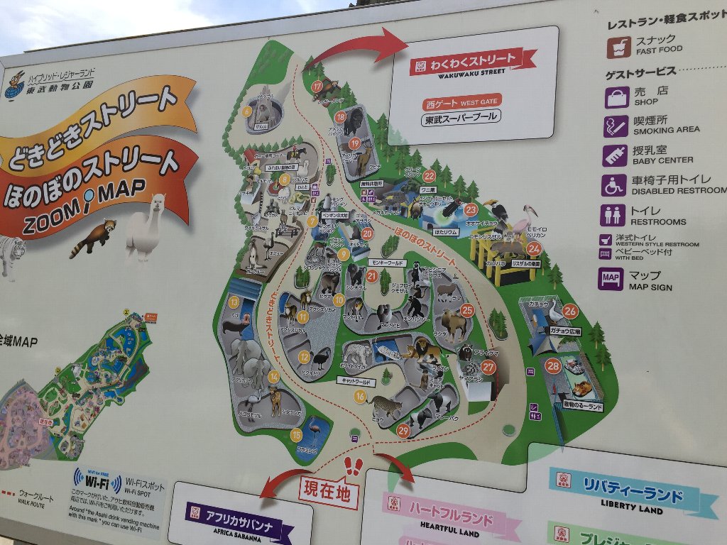 四つ子のホワイトタイガーの赤ちゃんに会ってきた (埼玉県 東武動物公園)