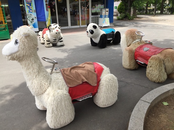 四つ子のホワイトタイガーの赤ちゃんに会ってきた (埼玉県 東武動物公園)