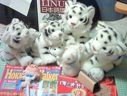 Whitetigers