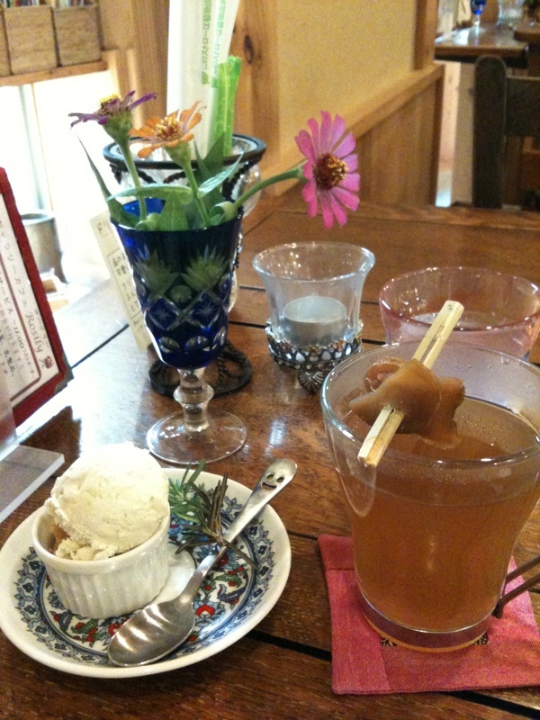 Gallery Cafe Rosily: ホッと。ジンジャを注文したら、おまけでサボテンアイスもらえた＼(＾o＾)／ さすがサボテン生産日本一の春日井市。