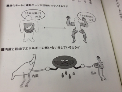 佐々木 豊 / 格闘家に学ぶ体脂肪コントロール―なぜ格闘家は3時間で3kg体重を落とせるのか?