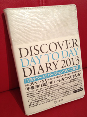 DISCOVER DAY TO DAY DIARY 2013