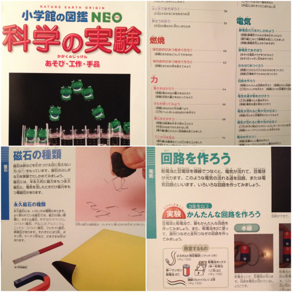科学実験DVD付き。 - 科学の実験~あそび・工作・手品~ (小学館の図鑑NEO) / ガリレオ工房 科学実験DVD付き。 - 科学の実験~あそび・工作・手品~ (小学館の図鑑NEO) / ガリレオ工房