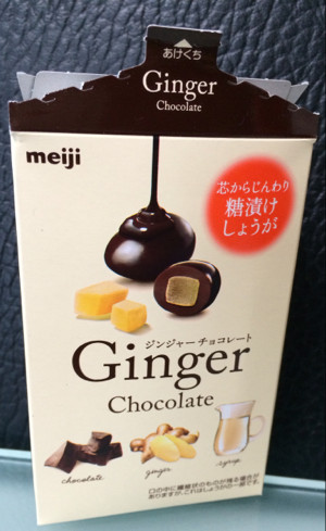 んーちょっとびみょうなお味。糖漬けしょうが入り。 - ジンジャーチョコレート(36g) んーちょっとびみょうなお味。糖漬けしょうが入り。 - ジンジャーチョコレート(36g)