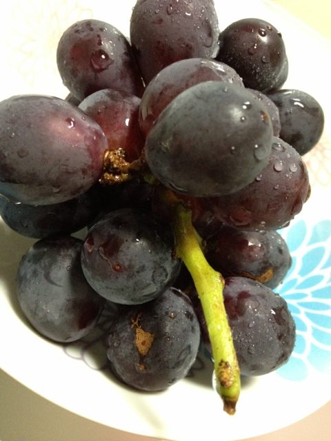 巨峰なう Kyohou Grapes 巨峰なう Kyohou Grapes