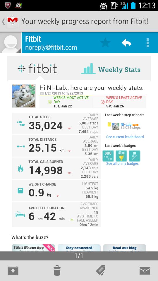 fitbit weekly stats fitbit weekly stats