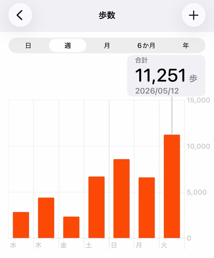 きょうはめずらしく1万歩以上も歩いてた( ´∀｀)