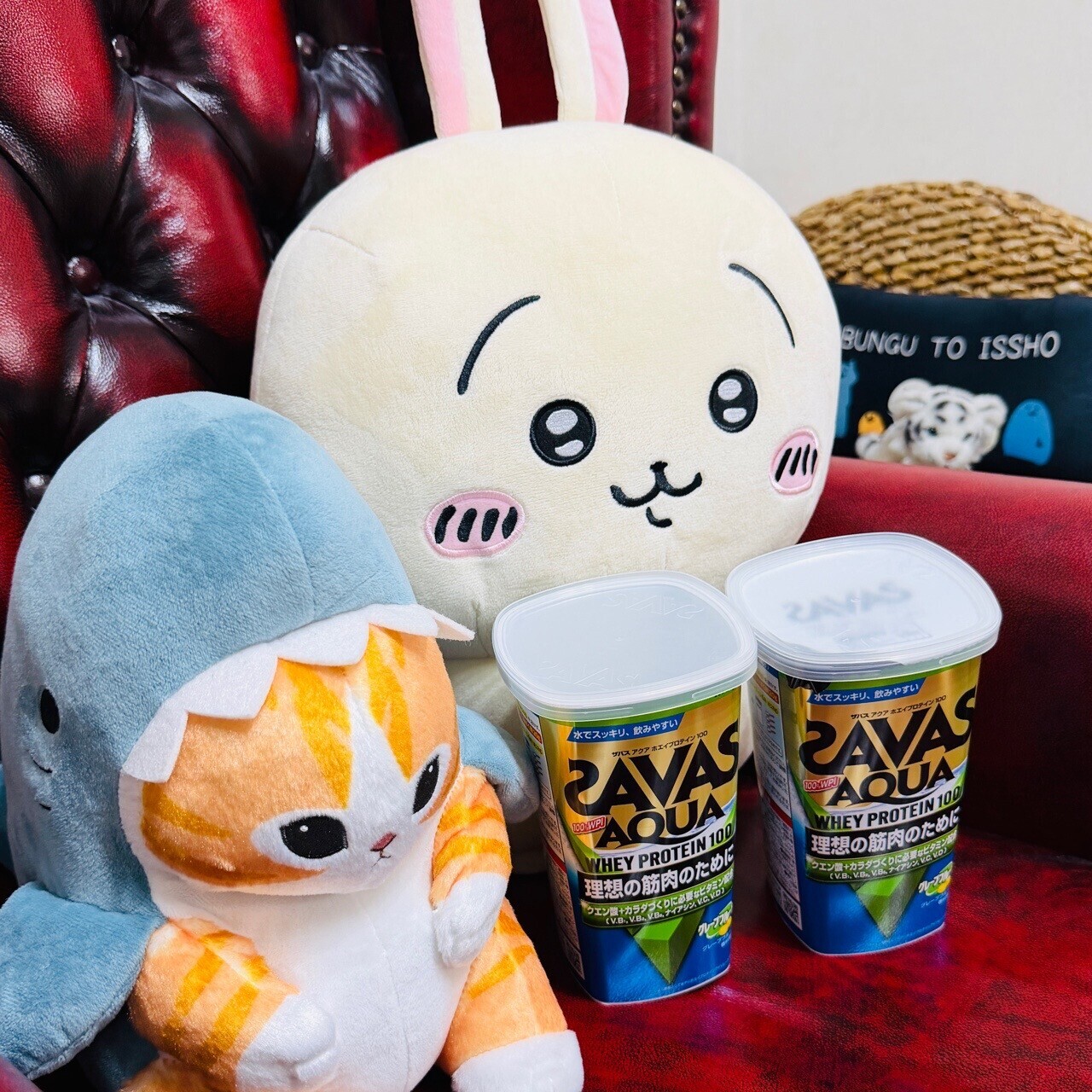 ザバス(SAVAS) アクア ホエイプロテイン100 グレープフルーツ風味 280g。 スポーツドリンクのような味で飲みやすい。 1つめを11日前から飲みはじめて今朝なくなったので、2つめを開封。 朝の起床後、午後の間食代わり、筋トレ後のだいたい1日3回ぐらい飲んでいる。 1回当たり規定量の4分の1(タンパク質5g)〜2分の1(タンパク質10g)ぐらい飲んでいる。