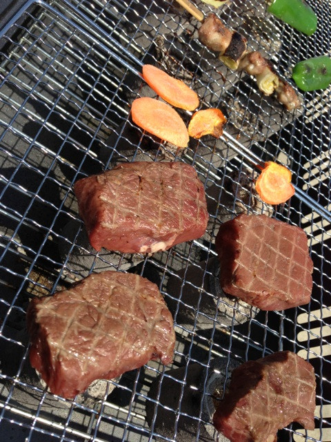 庭でバーベキュー(・∀・) 庭でバーベキュー(・∀・)