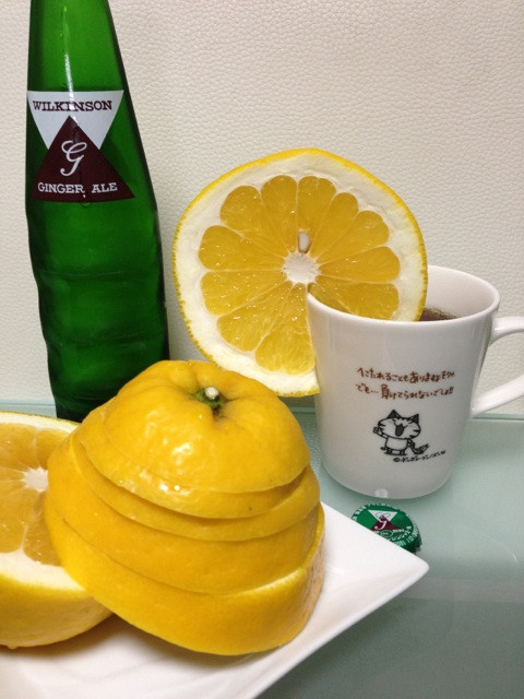 いただきものの柑橘系フルーツをウィルキンソン ジンジャーエールに突っこんでみる。なかなか美味い。 いただきものの柑橘系フルーツをウィルキンソン ジンジャーエールに突っこんでみる。なかなか美味い。
