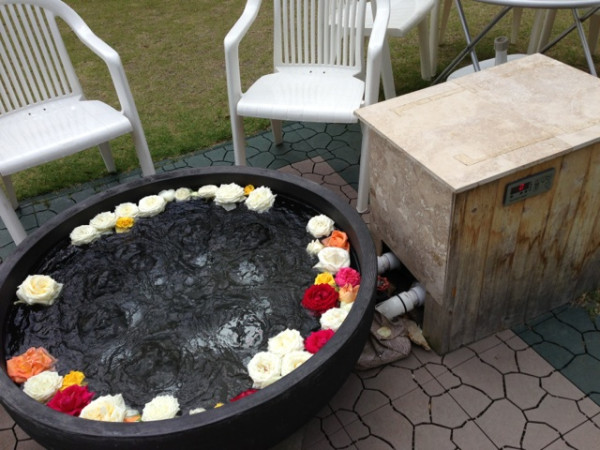 薔薇の足湯。 薔薇の足湯。