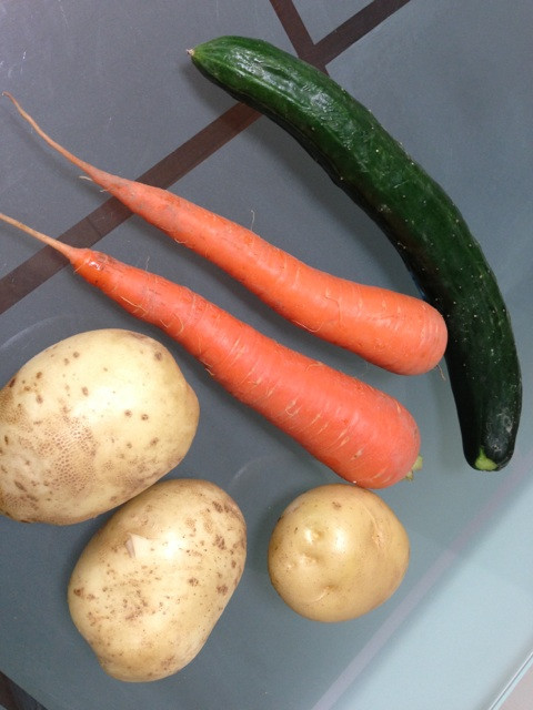 今朝、畑で採れた野菜。 今朝、畑で採れた野菜。