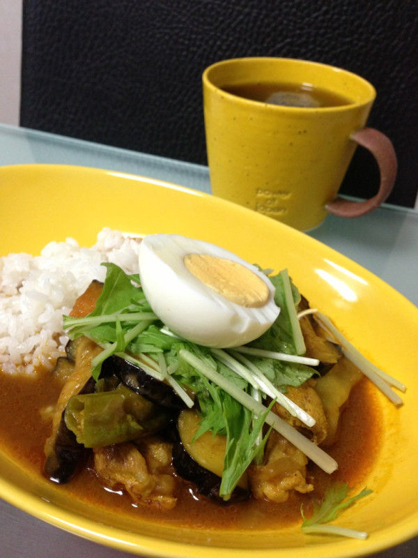 夕飯にスープカレー、うまい。 夕飯にスープカレー、うまい。