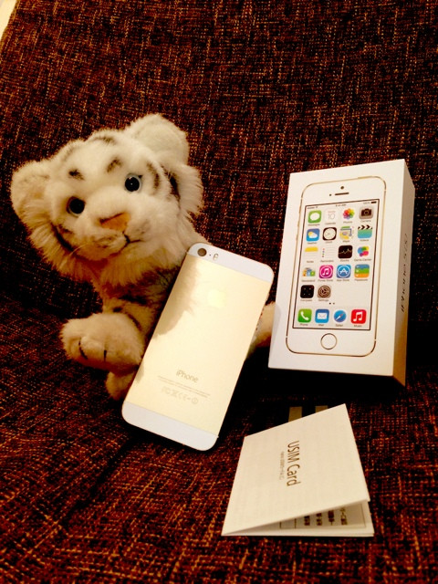 iPhone 5s 64GB GOLD + USIM Card iPhone 5s 64GB GOLD + USIM Card
