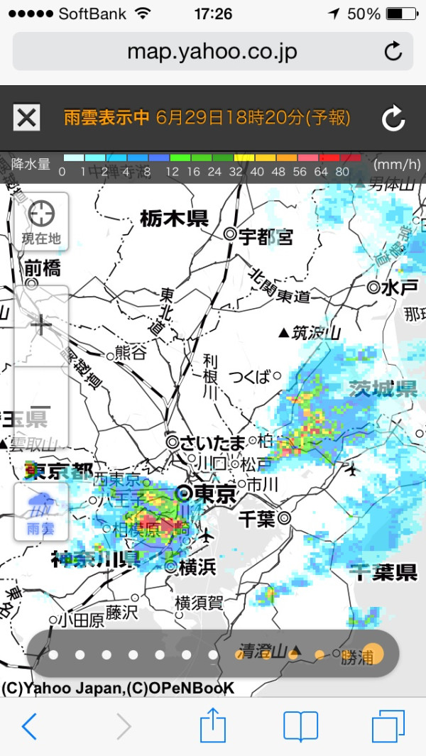 東京は豪雨らしい(´Д` ) 東京は豪雨らしい(´Д` )