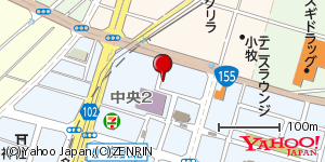 愛知県小牧市中央 付近 : 35292331,136930903