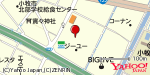 愛知県小牧市大字間々原新田 付近 : 35301657,136918901