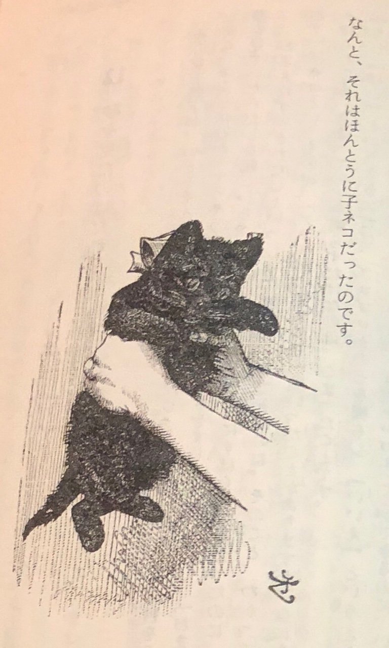 子ネコを揺さぶる。 子ネコを揺さぶる。