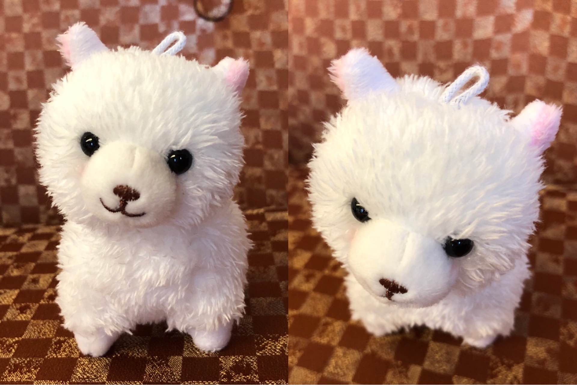 かわいいアルパカさんと、わるいアルパカさん。 かわいいアルパカさんと、わるいアルパカさん。