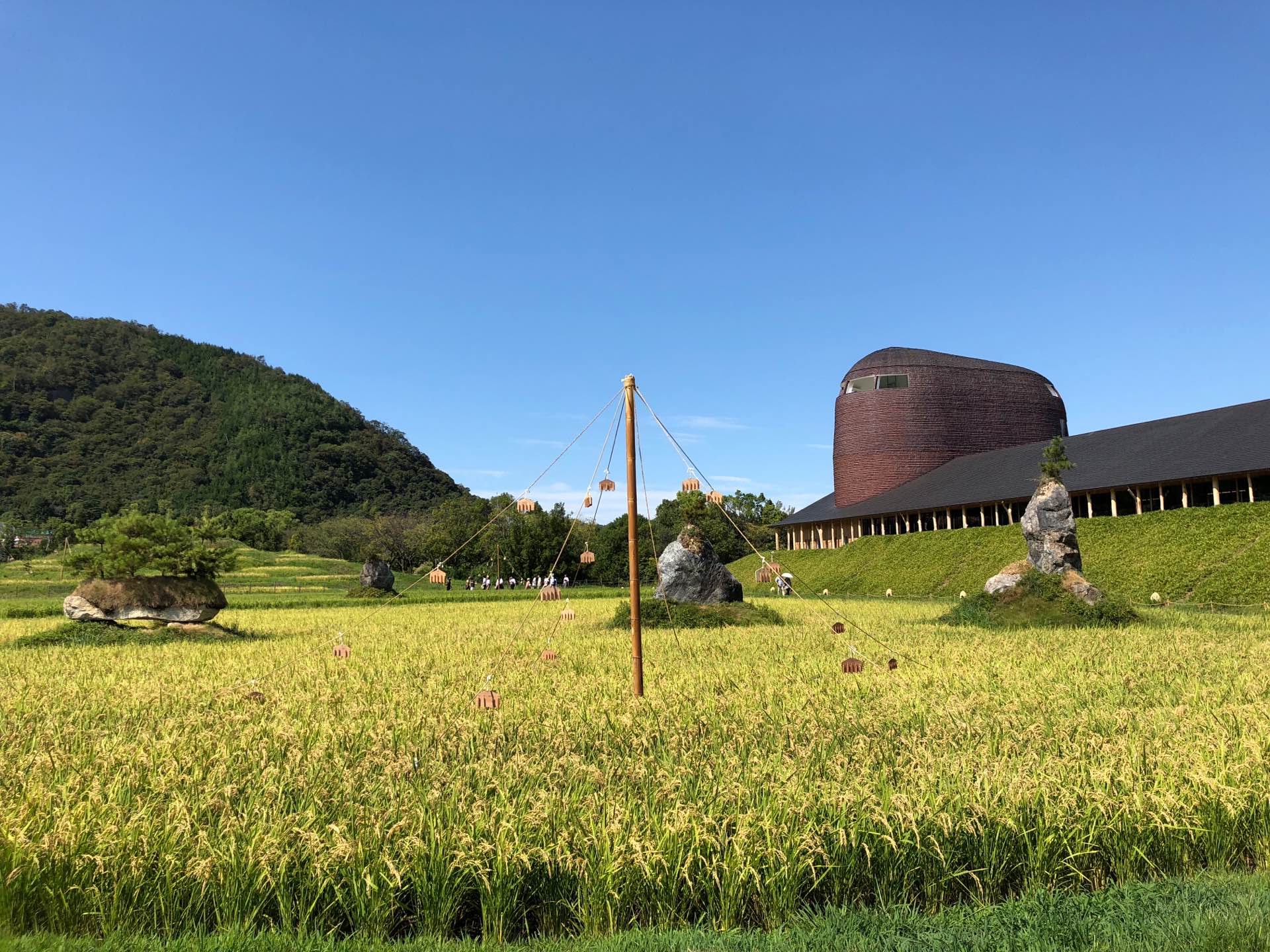 中庭 中庭