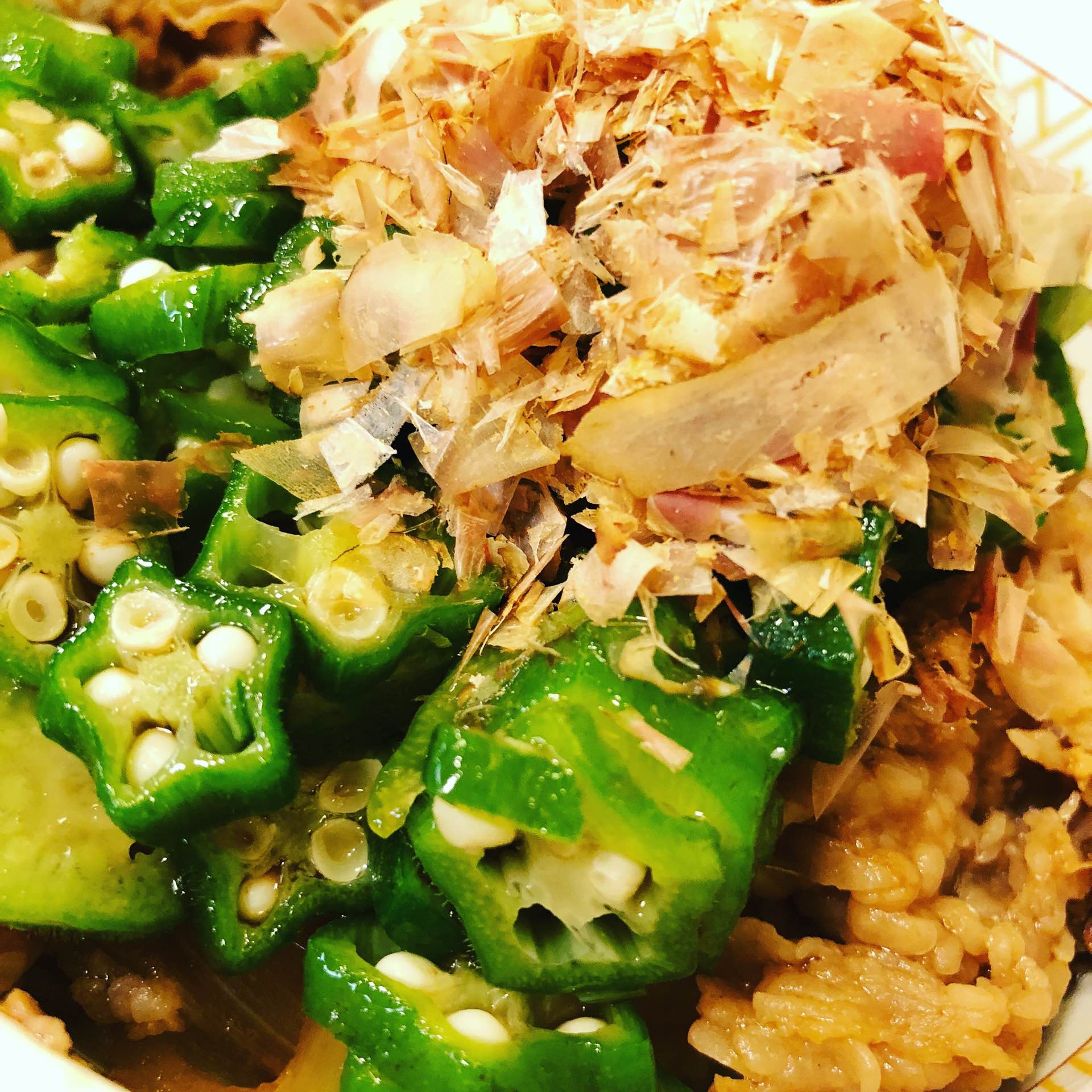 Sukiya Katsubushi-Okura-Don Sukiya Katsubushi-Okura-Don