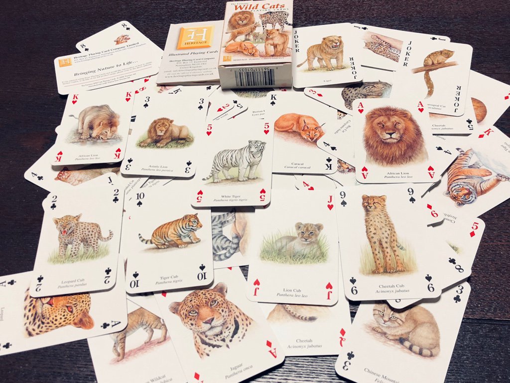 The Famous Wild Cats Playing Cards by Heritage Playing Card Company The Famous Wild Cats Playing Cards by Heritage Playing Card Company