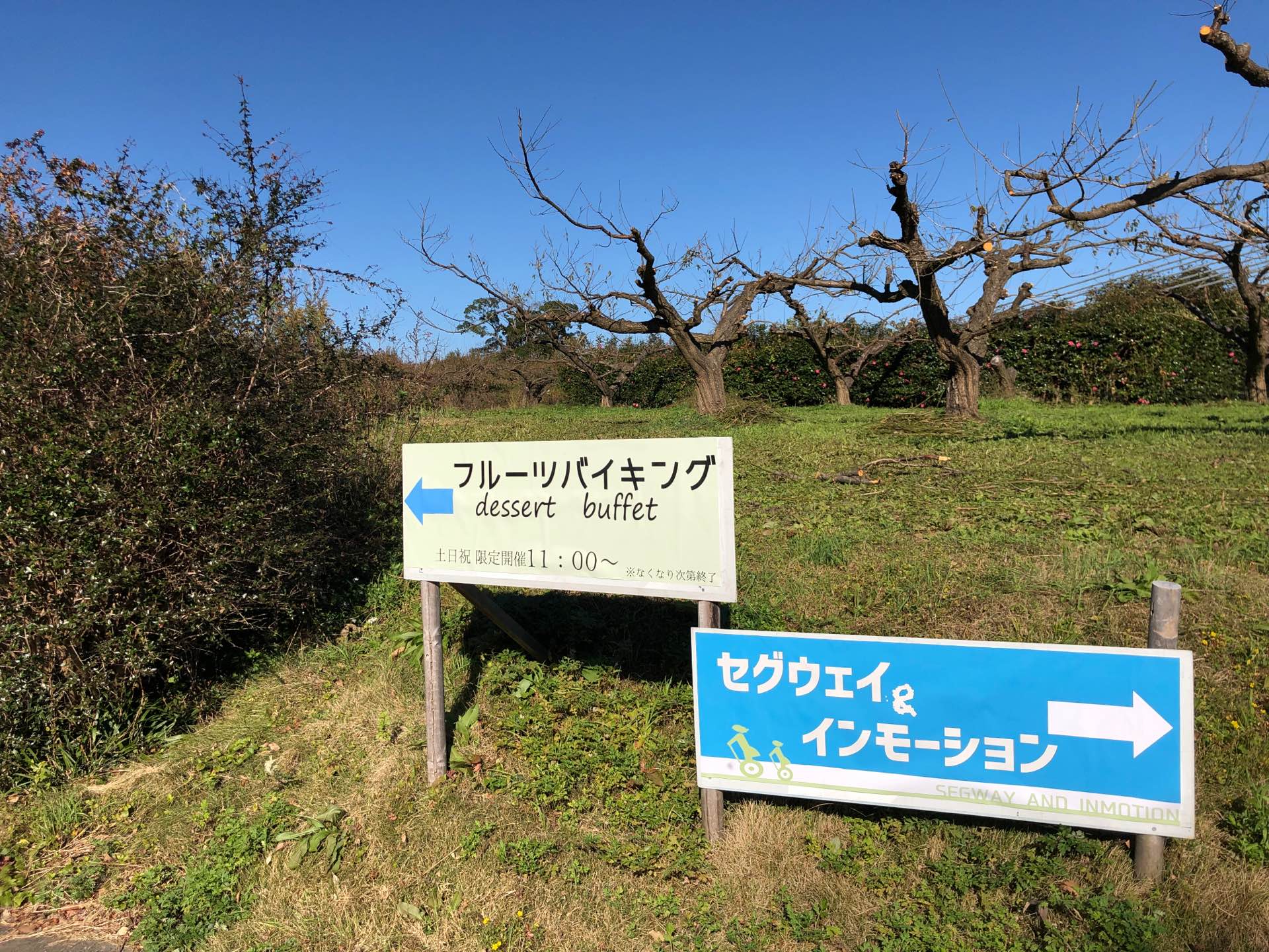 フルーツバイキングへ フルーツバイキングへ