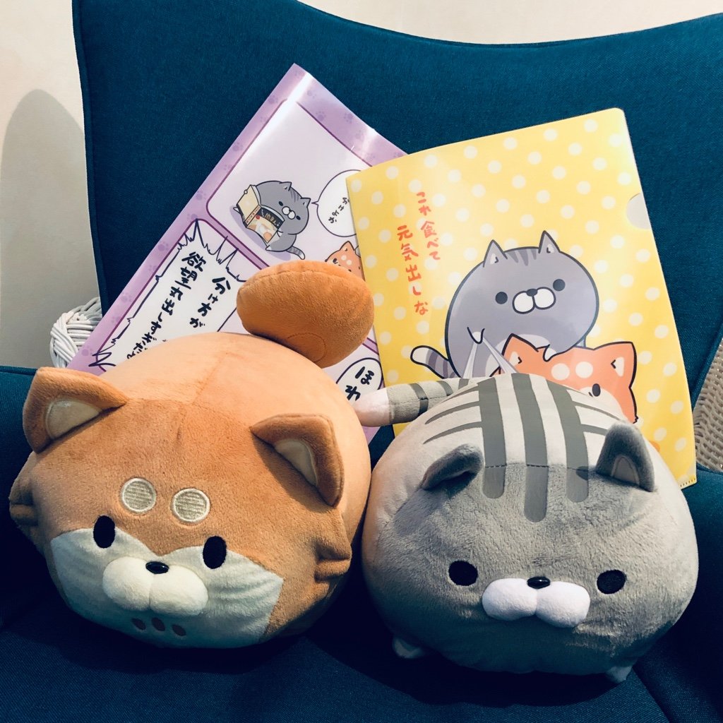 The Boneless Dog and Cat The Boneless Dog and Cat