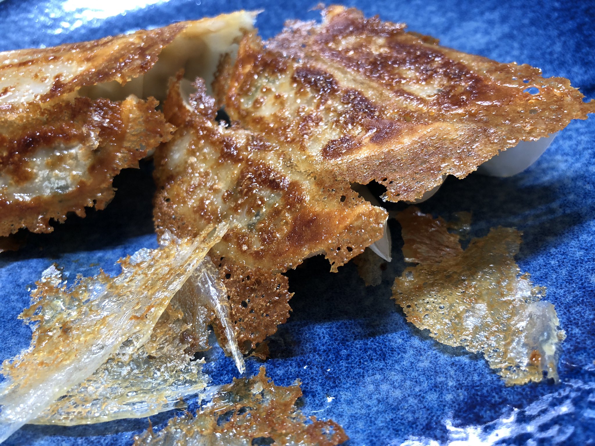 餃子 餃子