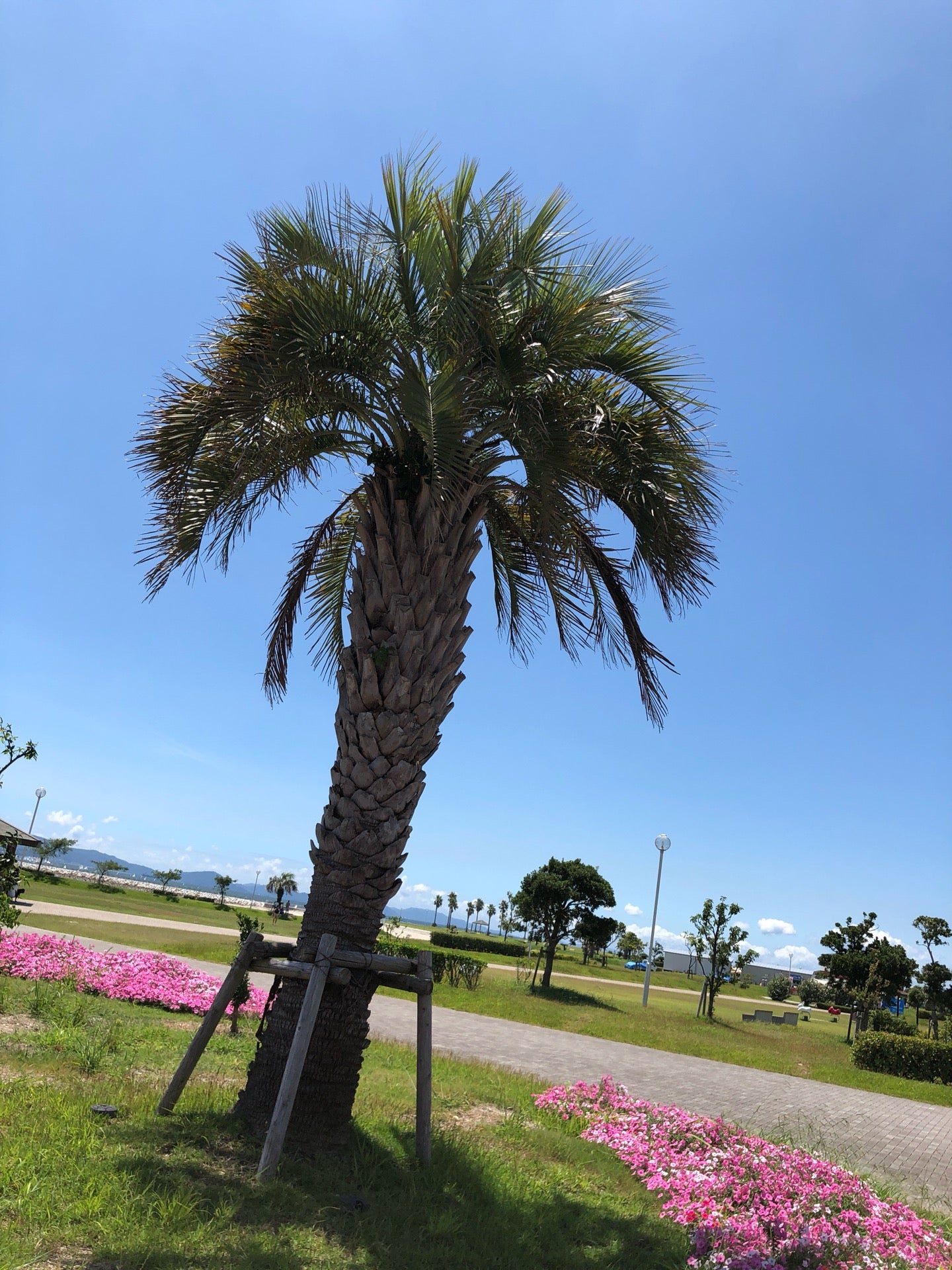 I'm at ラグーナビーチ(大塚海浜緑地) in 蒲郡市, 愛知県 I'm at ラグーナビーチ(大塚海浜緑地) in 蒲郡市, 愛知県